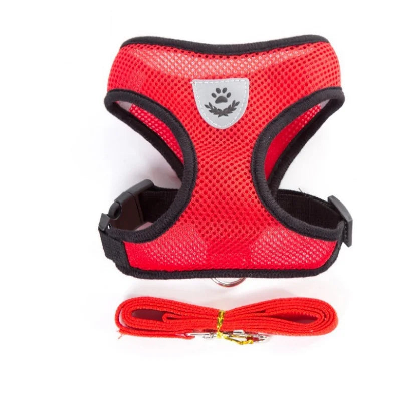 Harnais Respirant & Laisse Assortie – Pack Confort & Sécurité Nocturne Rouge