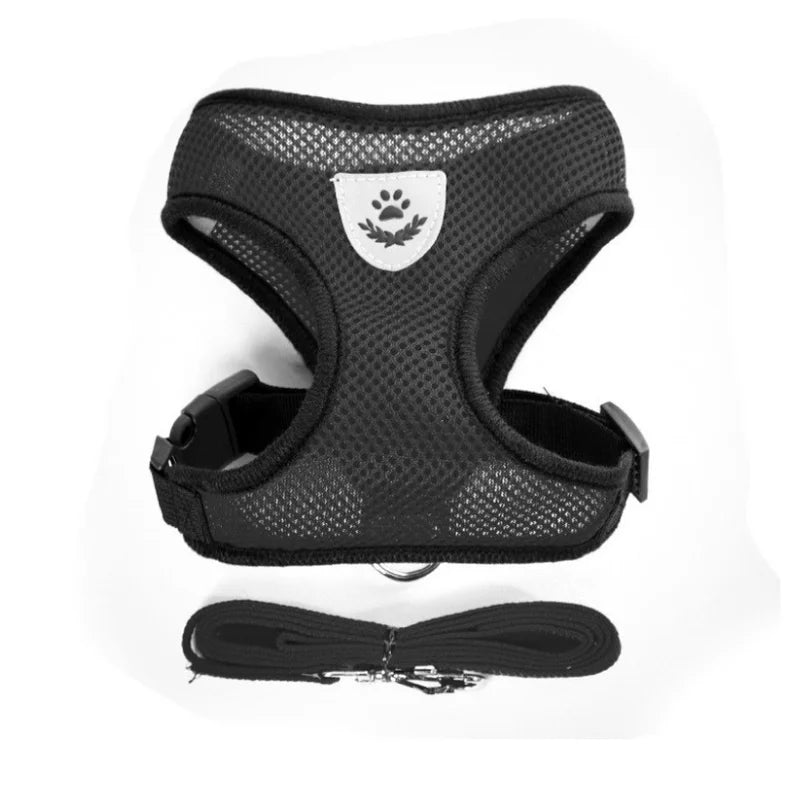 Harnais Respirant & Laisse Assortie – Pack Confort & Sécurité Nocturne Noir