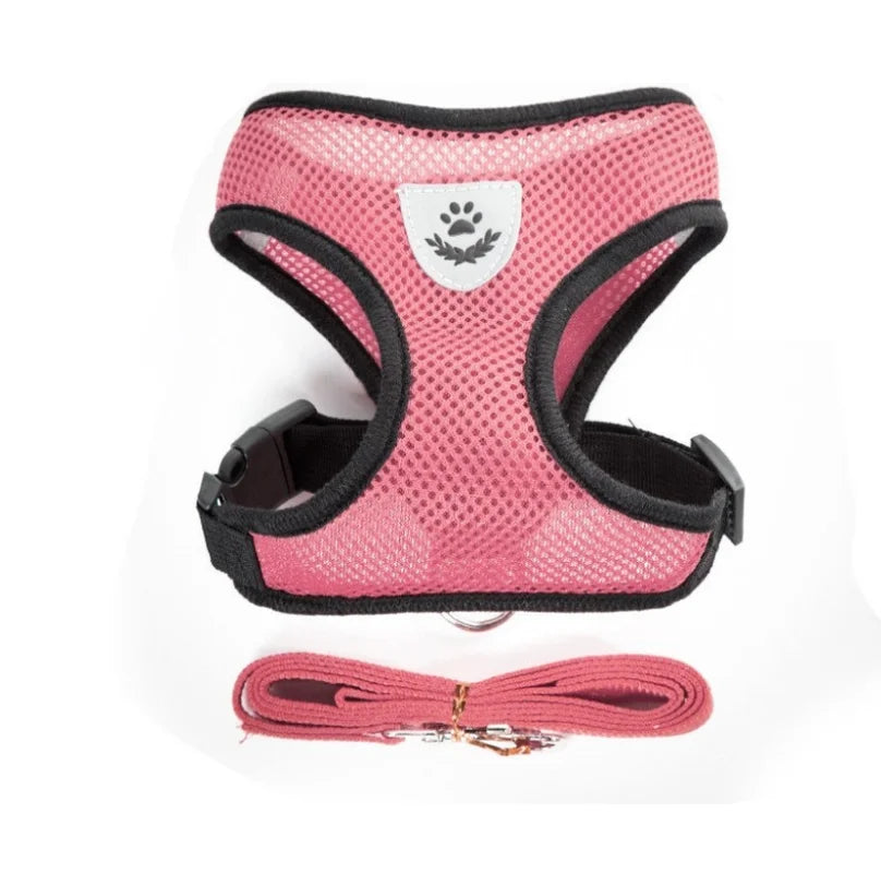 Harnais Respirant & Laisse Assortie – Pack Confort & Sécurité Nocturne Rose