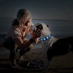 Collier Lumineux LED Kopet – Visibilité Maximale & 7 Modes de Couleur