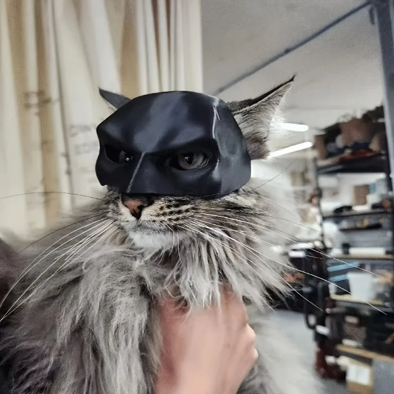 Masque "Bat-Cat" – Le Chevalier Noir de votre Salon