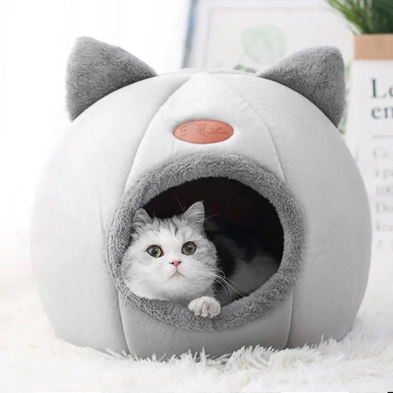 Maison "Cat-Face" – Le Nid Douillet en Forme de Chat